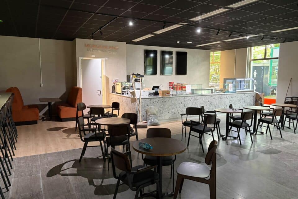 Damascus Groove, Bibliotheek Rotterdam